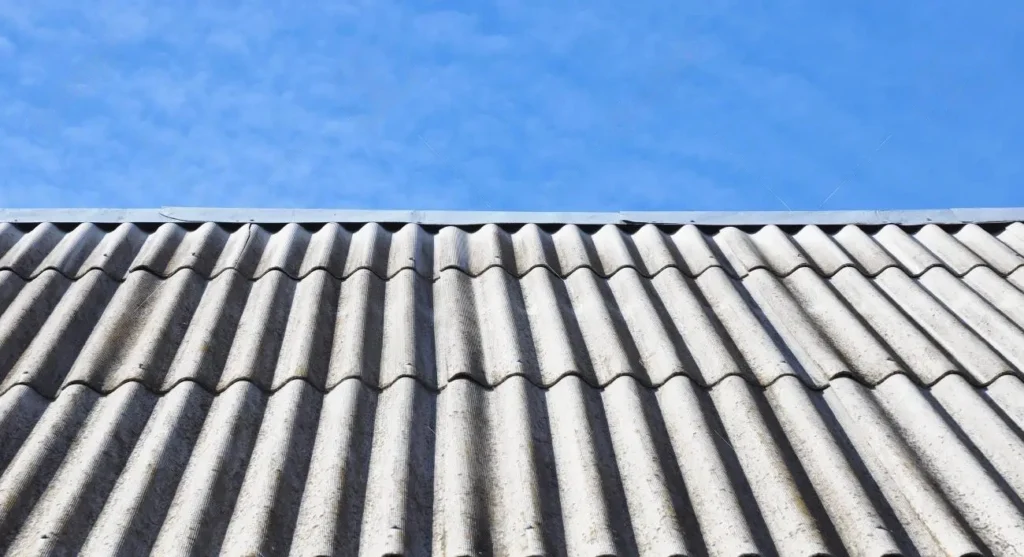 Guía de Buenas Prácticas para la Remoción de Techos de Asbesto