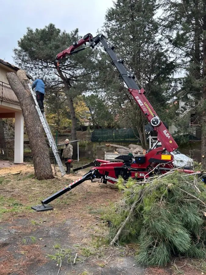 Mini Spider Crane ELMA