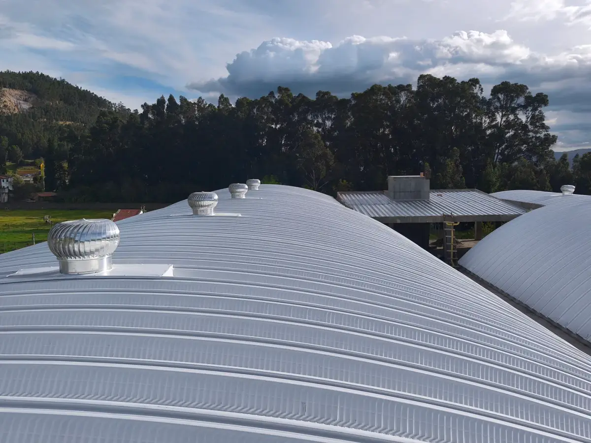 Rica Papa en Sogamoso